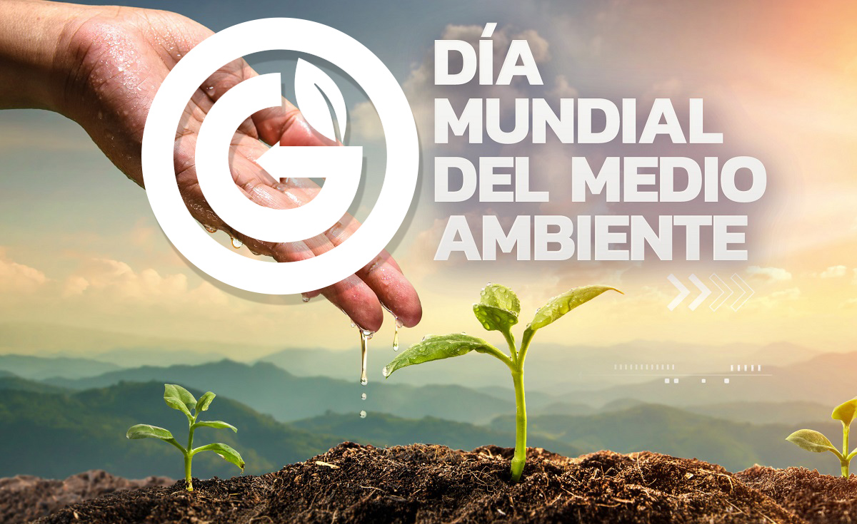 Día Mundial del Medio Ambiente: Por qué se celebra este 5 de junio y cuál es el lema 2024