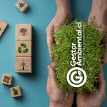 gestorambiental.cl