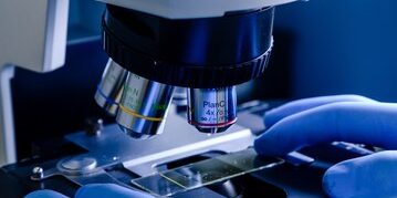 imagen de la cabecera