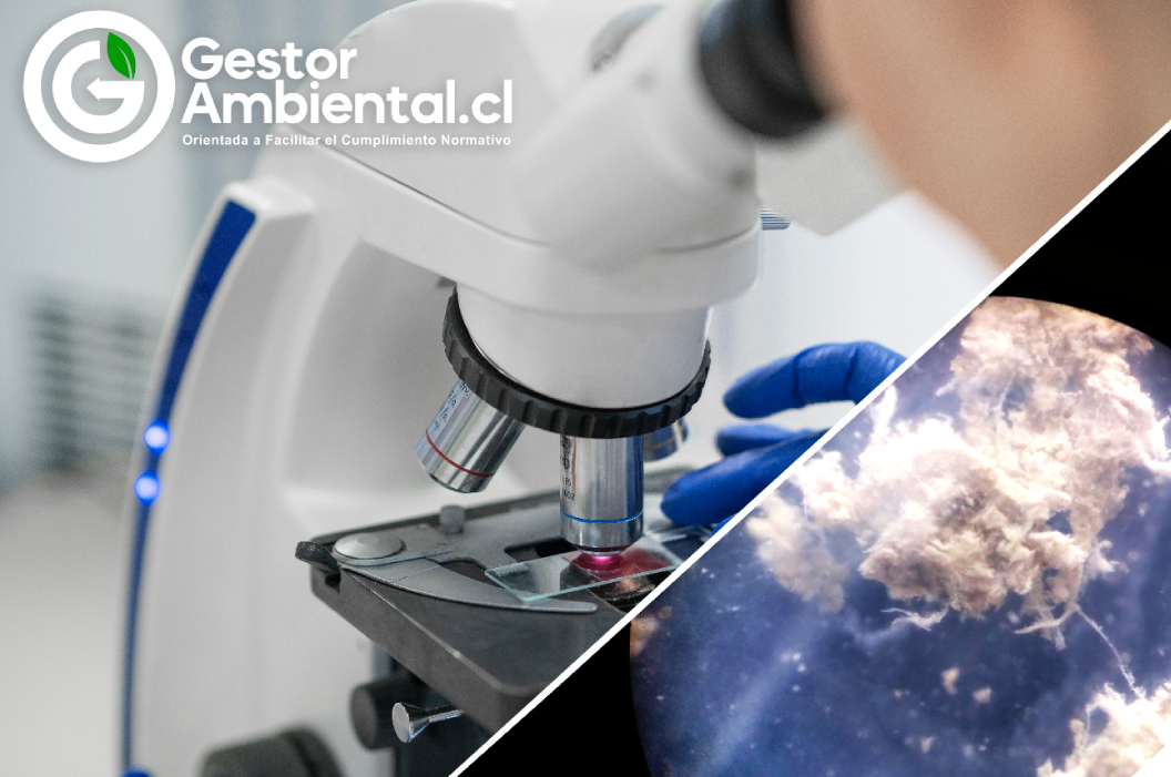 Inspección, detección y análisis de asbesto friable y no friable.